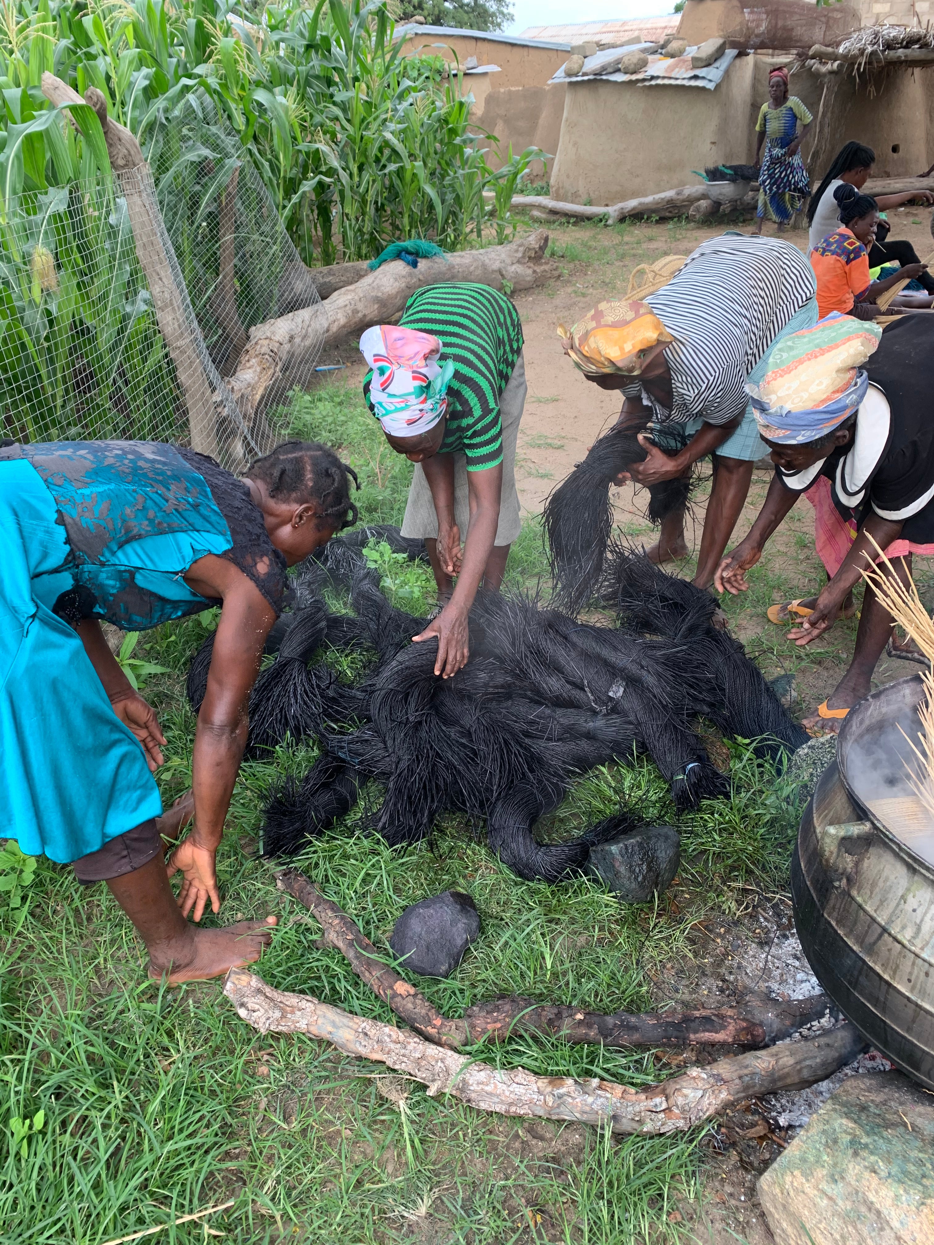 ARA Bolga Baskets Weaving Group in Sumbrungu dying straw to weave Bolga Baskets, These baskets are going to be super quality as usual. Our Bolga baskets are purely handmade of this natural grass therefore our products are eco-friendly