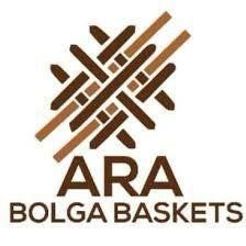 arabolgabaskets.com